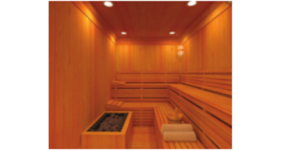 sauna room